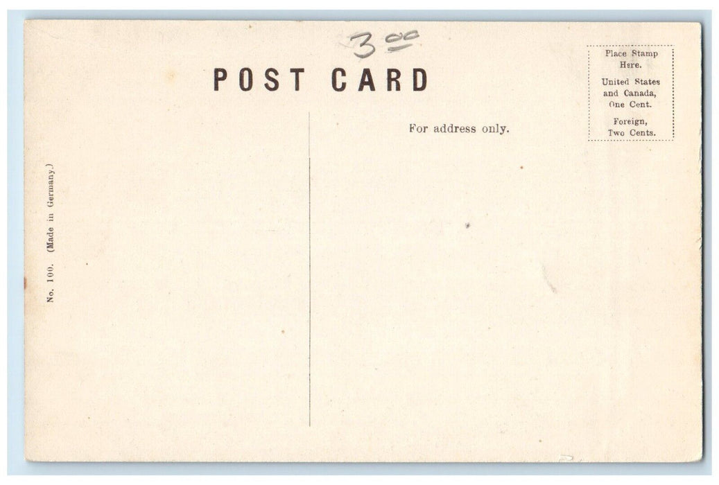 c1910's Hackley Public Library Building Muskegon Michigan MI Antique Postcard