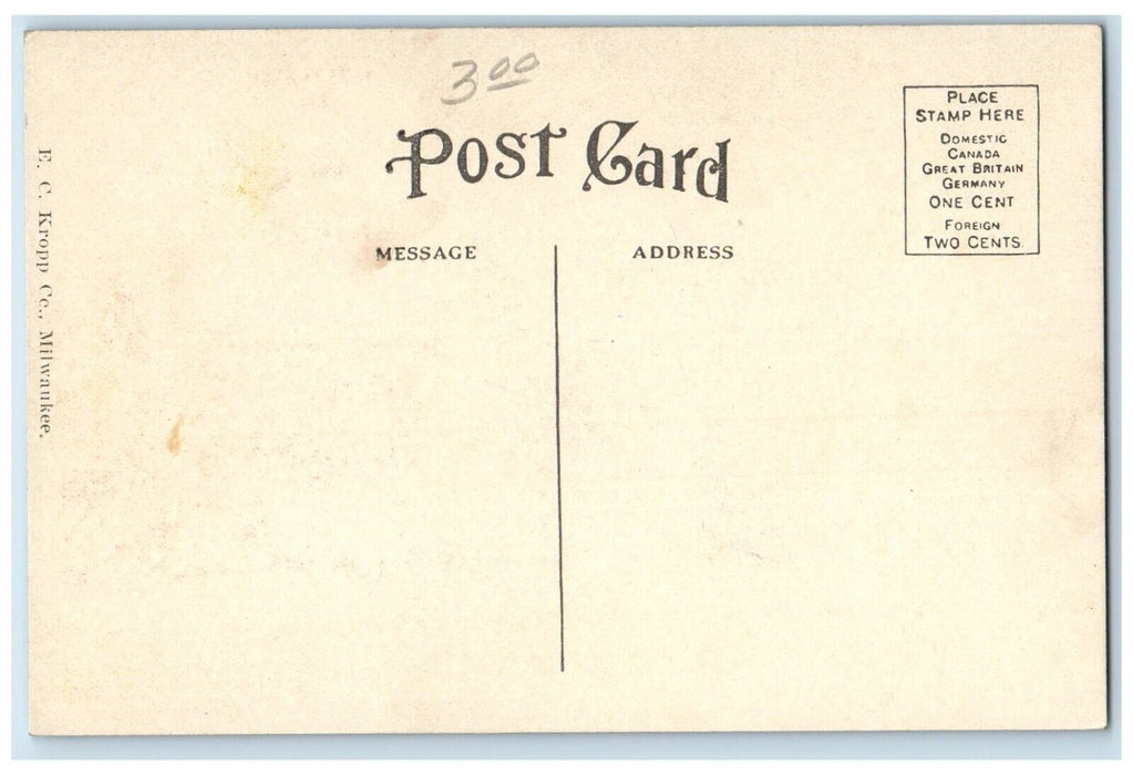 c1910's Mt. Pleasant High School Building Mt. Pleasant Michigan MI Postcard
