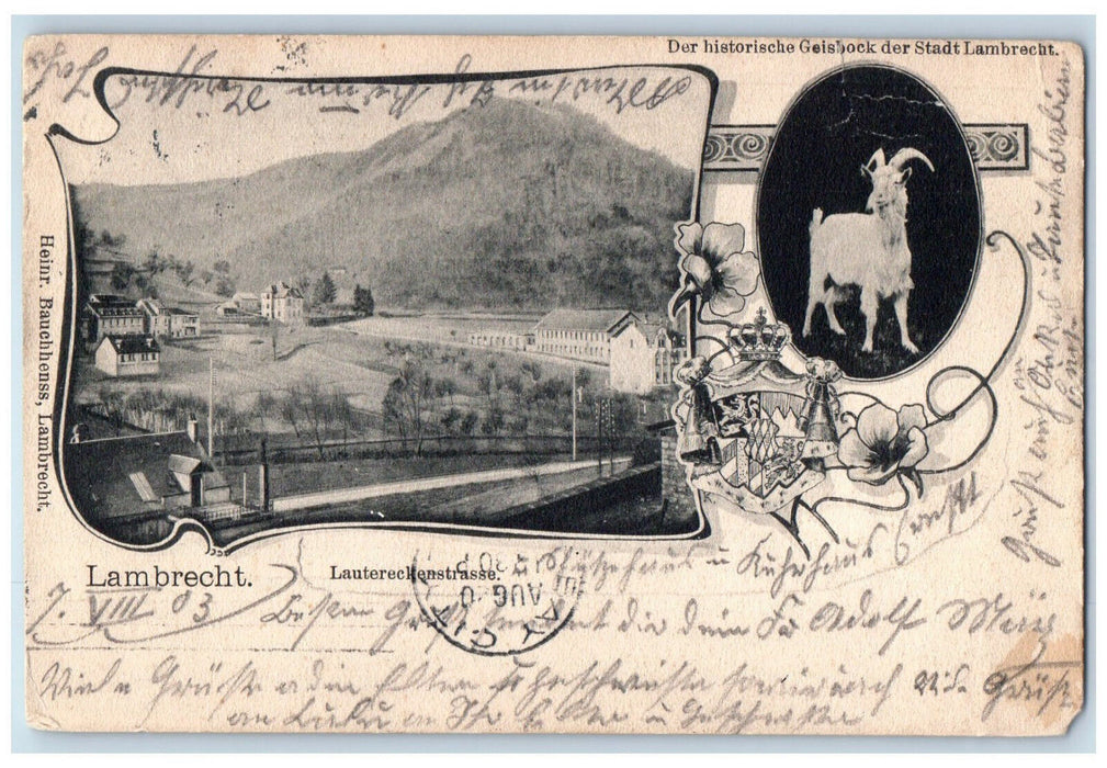 1903 Goat Photo View of Lauterecken Strasse Lambrecht Germany Posted Postcard
