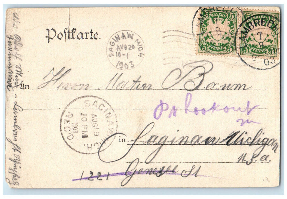 1903 Goat Photo View of Lauterecken Strasse Lambrecht Germany Posted Postcard
