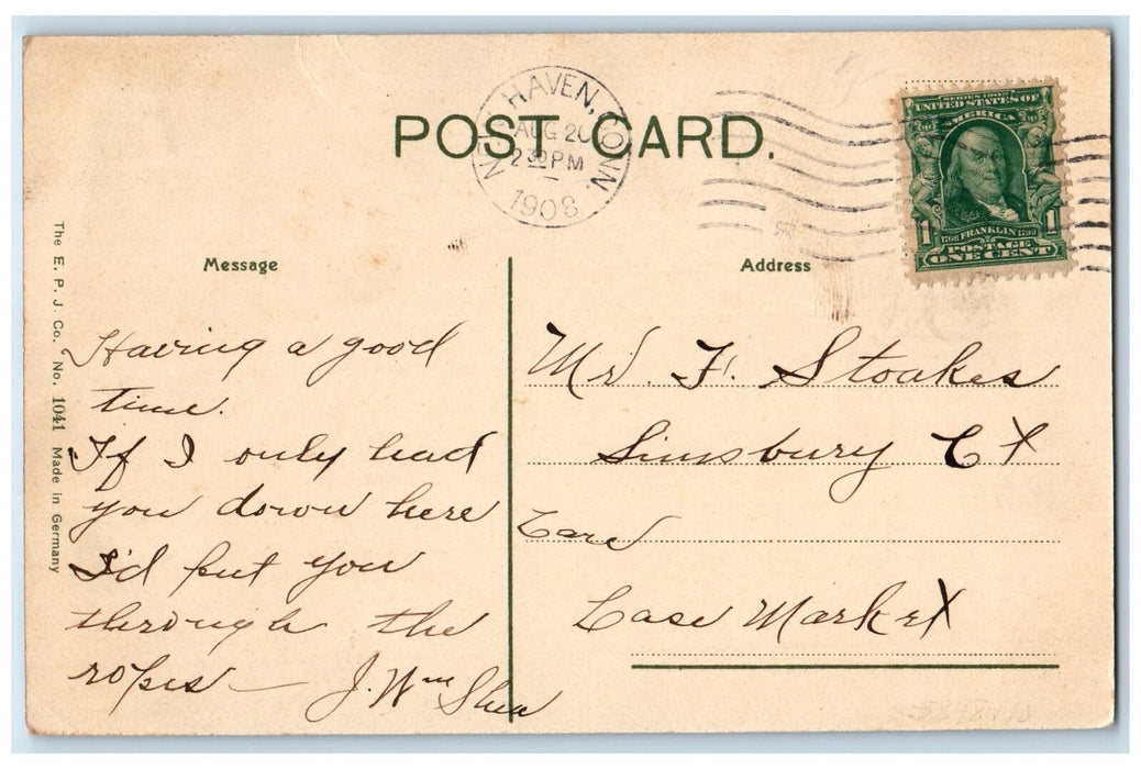 1908 Wilcox's Restaurant Building Dirt Road Carriage Flag Savin Rock CT Postcard