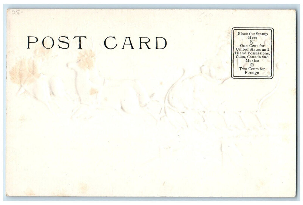 c1905 Christmas Santa Claus And Reindeer Sleigh Chimney Winter Embossed Postcard