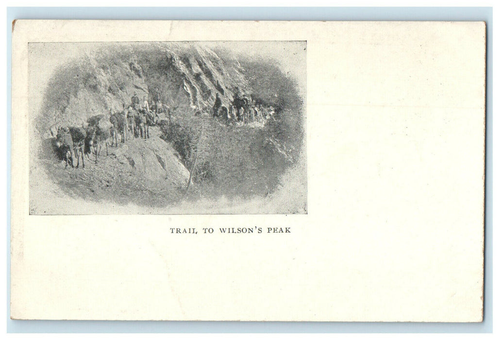 c1900s Trail to Wilson's Peak San Francisco California CA PMC Postcard