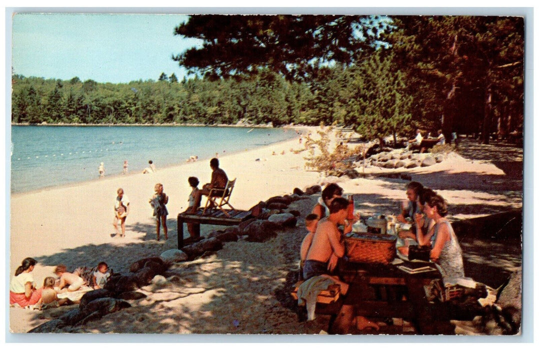c1950'sWellington State Park Bristol New Hampshire NH Newfound Lake Postcard