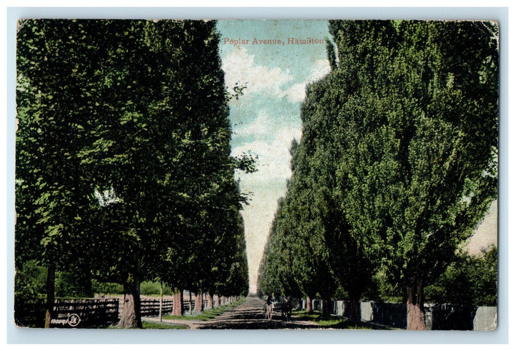 1907 Poplar Avenue, Hamilton Ontario Canada Posted Antique Postcard
