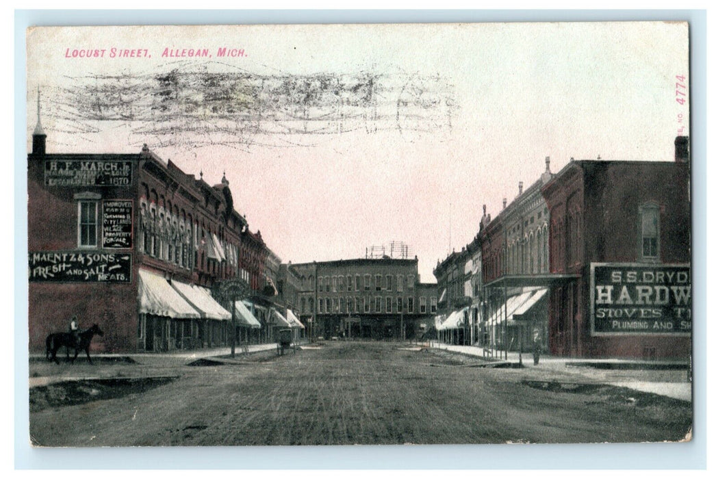 1909 Locust Street Allegan Michigan MI Posted Antique Middleville Postcard