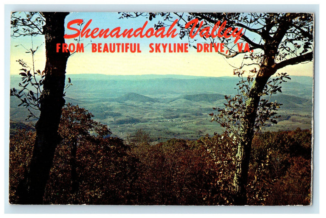 1962 Shenandoah Valley From Beautiful Skyline Drive Virginia VA Postcard