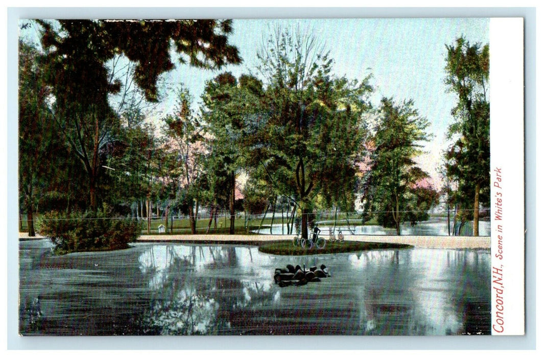 c1905 Concord New Hampshire NH, Scene In Winter's Park Antique Postcard