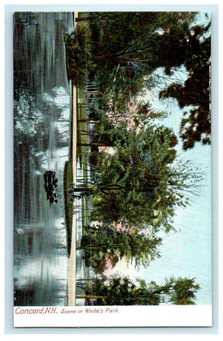 c1905 Concord New Hampshire NH, Scene In Winter's Park Antique Postcard