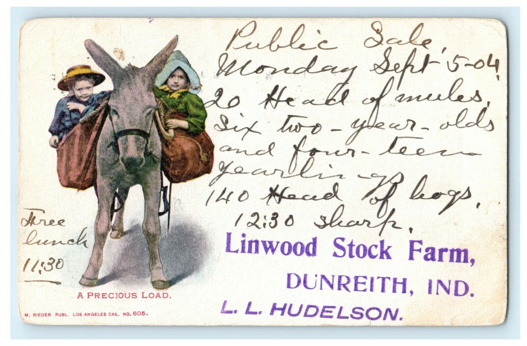 1904 Linwood Stock Farm Dunreith Indiana Advertising Rushville Donkey Postcard