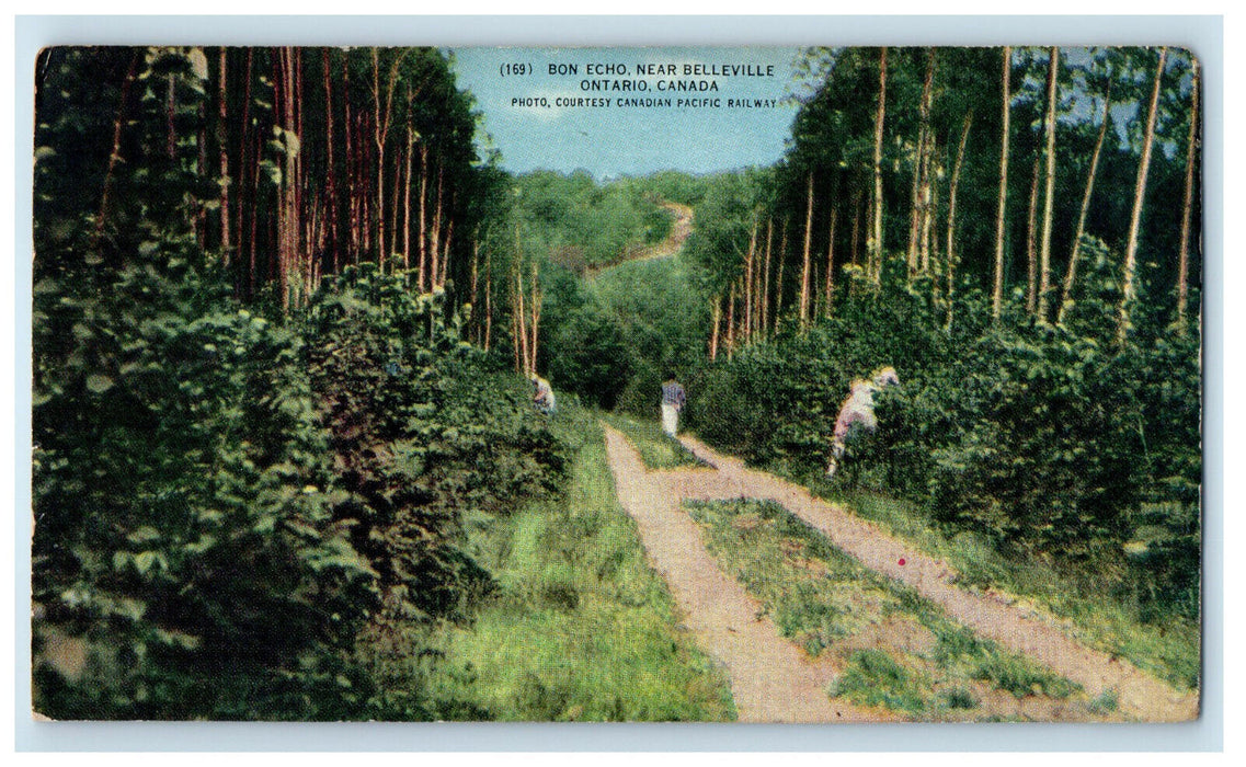 c1910 Bon Echo Near Belleville Ontario Canada Posted Antique Postcard