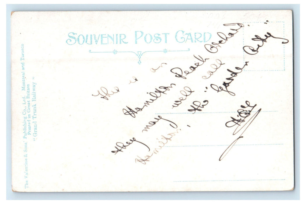 c1905 Peach Orchards Gardens of Canada Posted Antique Souvenir Postcard