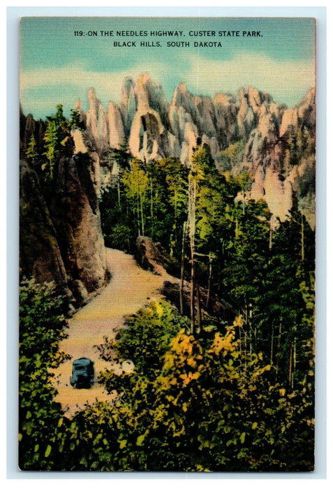 Black Hills South Dakota SD, On The Needles Highway Custer State Park Postcard