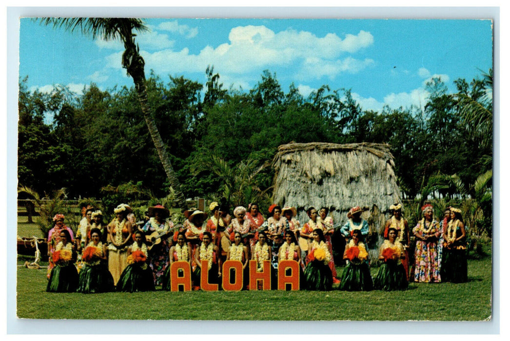 c1980s The Kodak Hula Show Kapiolani Park, Waikiki Beach, Hawaii HI Postcard