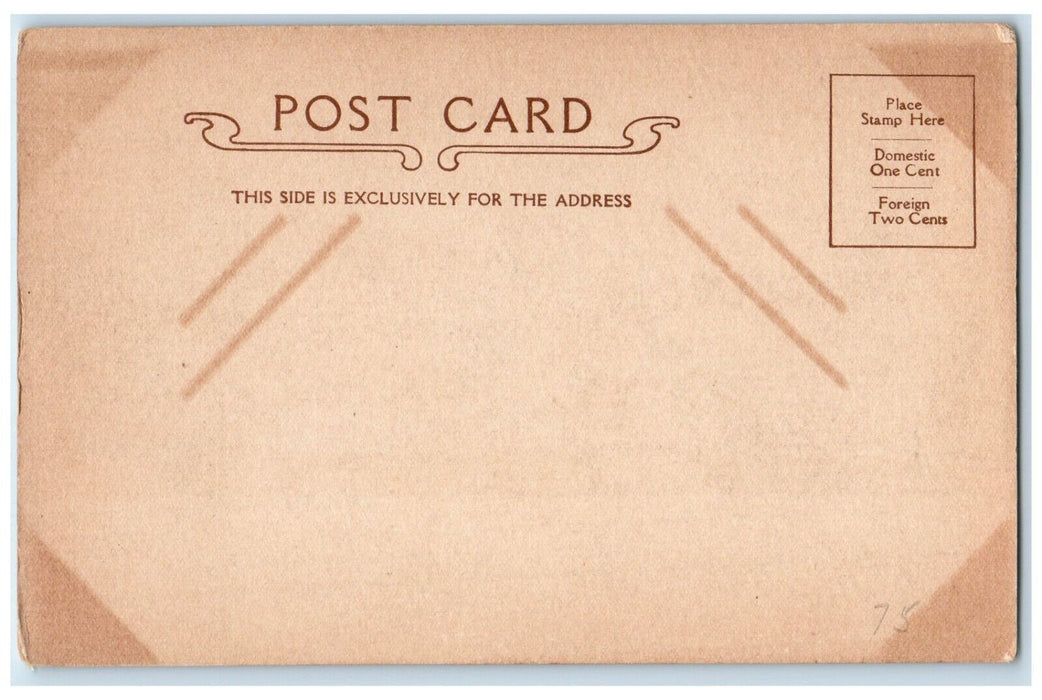 c1905 Brynn Mawr College Building Bryn Marw Pennsylvania PA Antique Postcard