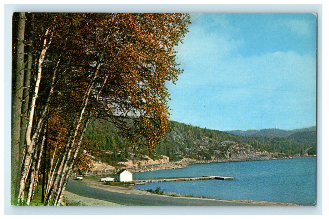 c1950s View of Trees and River, Wawa Ontario Canada CA Foreign Postcard