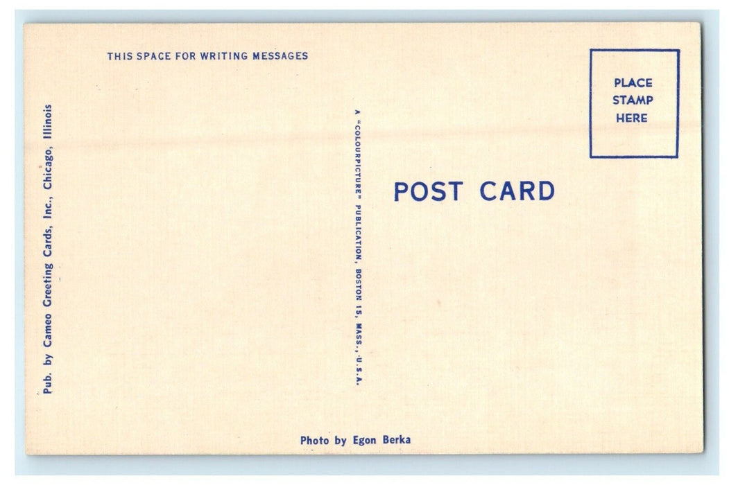 c1930's Ulysses S. Grant Monument Lincoln Park Chicago Illinois IL Postcard