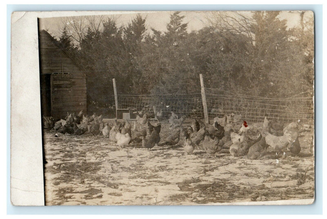 1909 Waco Nebraska NE Hen Farm House Posted Antique RPPC Photo Postcard