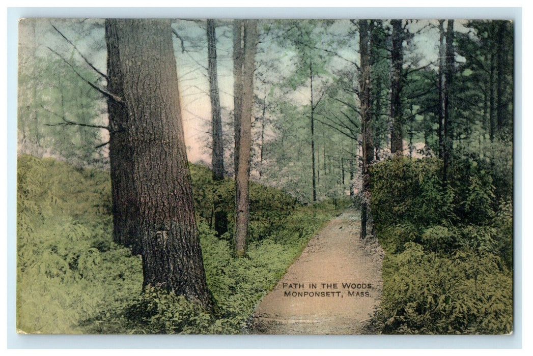 1912 Path in the Woods, Monponsett, Massachusetts MA Antique Postcard