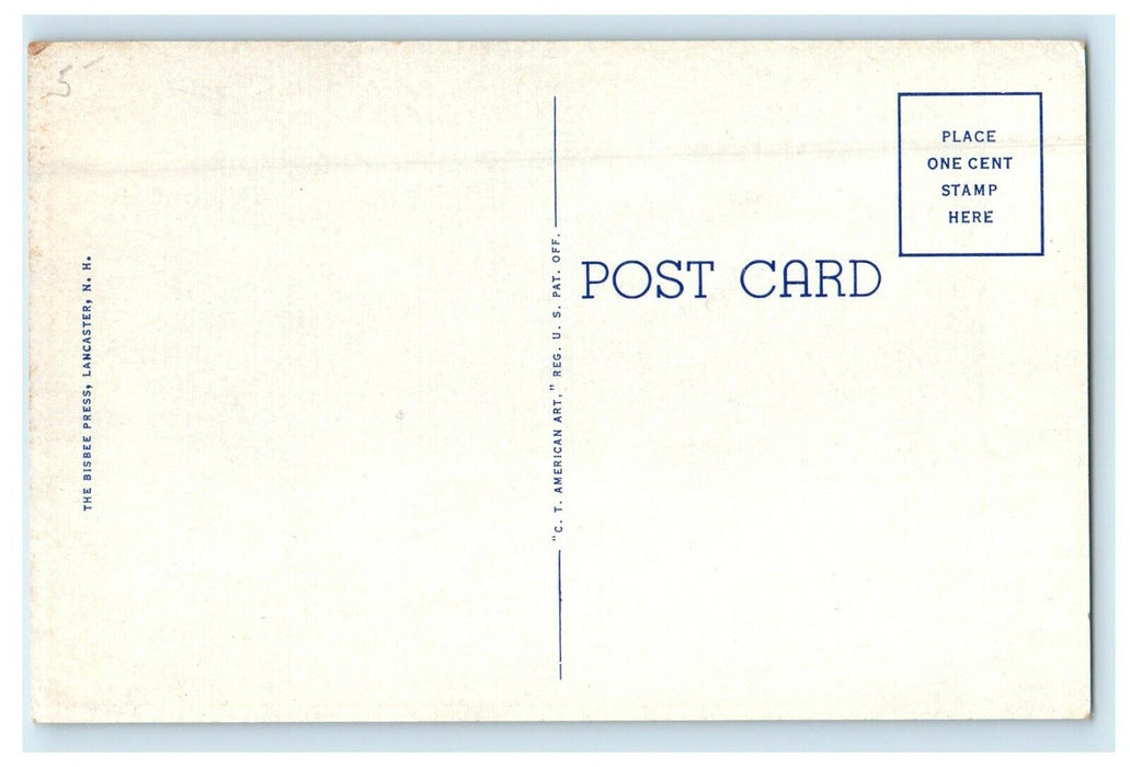 View Of Main Street Looking South Colebrook New Hampshire NH Vintage Postcard