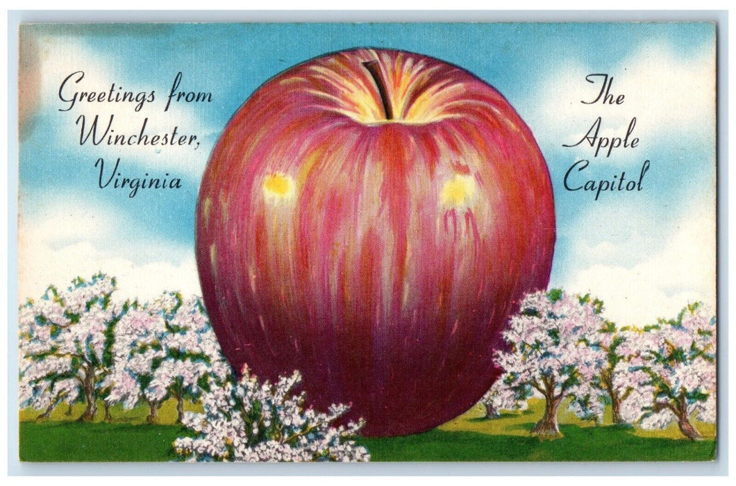 Greetings From Winchester Virginia VA, The Apple Capitol Exaggerated Postcard