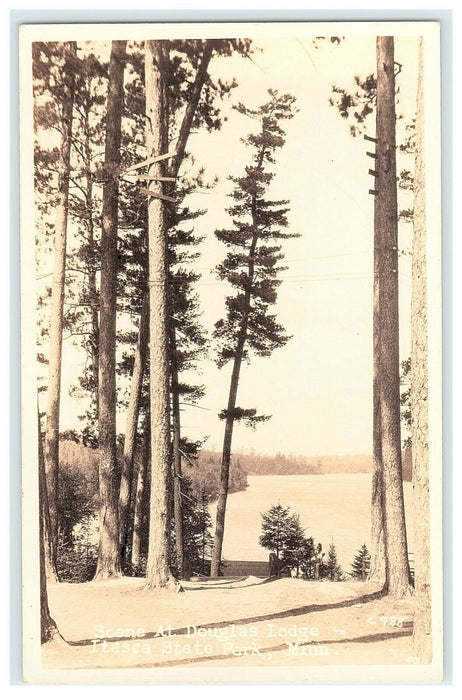 Douglas Lodge Itasca State Park Lake Minnesota RPPC Postcard Vintage Antique