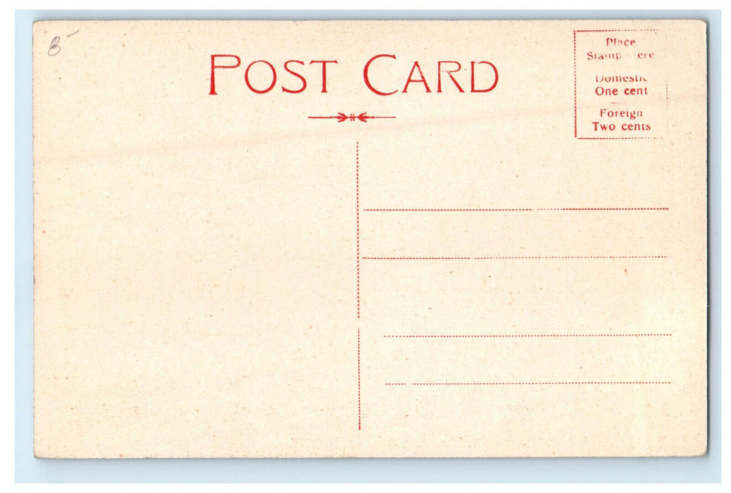 c1910s The Trestle, Hillsboro, New Hampshire NH Unposted Antique Postcard