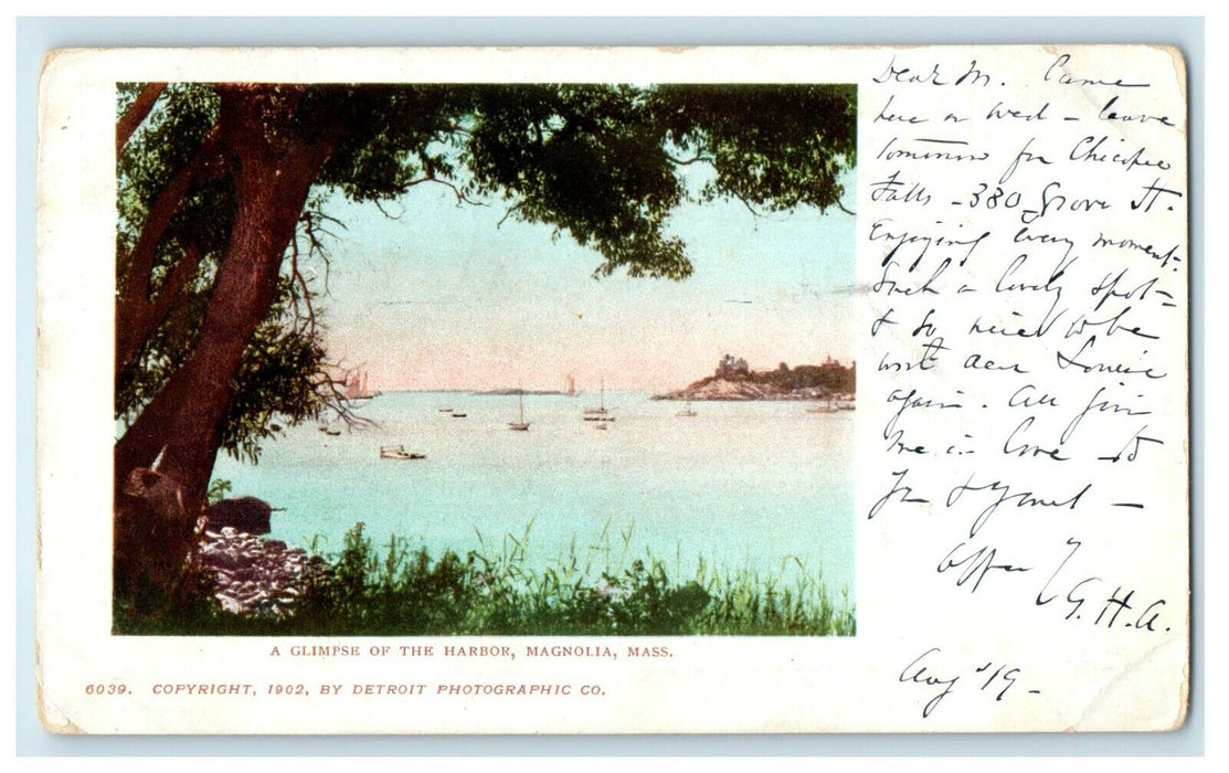 1904 A Glimpse Of The Harbor Magnolia Massachusetts MA Private Mailing Postcard