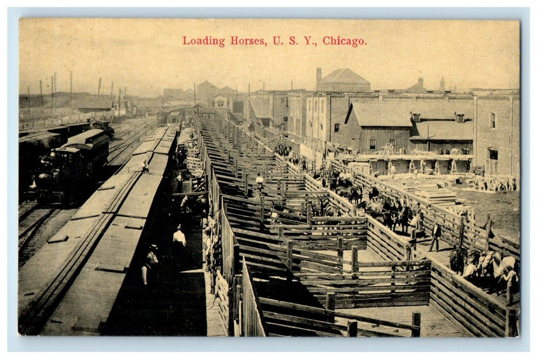 c1910's View Of Loading Horses U.S.Y. Chicago Illinois IL Unposted Postcard