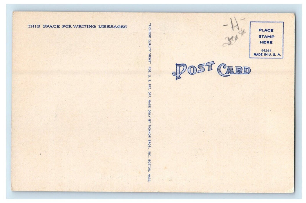 c1940's Greetings From White Mountains New Hampshire NH, Chipmunks Postcard