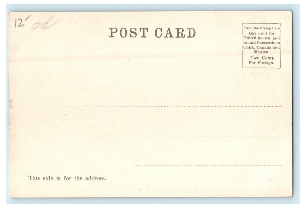 c1905 A View Of The Square Horse Buggy Exeter New Hampshire NH Antique Postcard