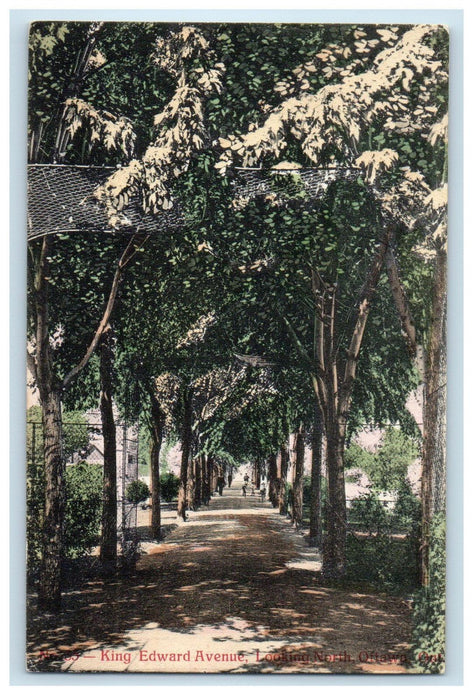 c1910 King Edward Avenue Looking North Ottawa Ontario Canada Antique Postcard