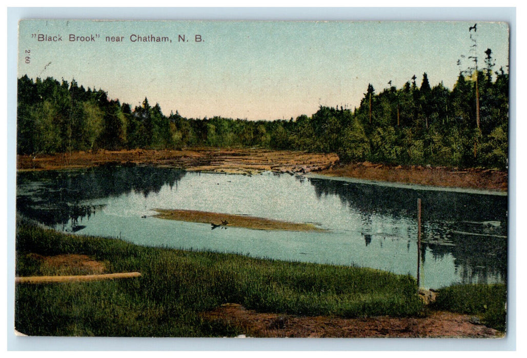 1907 "Black Brook" Near Chatham New Brunswick Canada Posted Antique Postcard