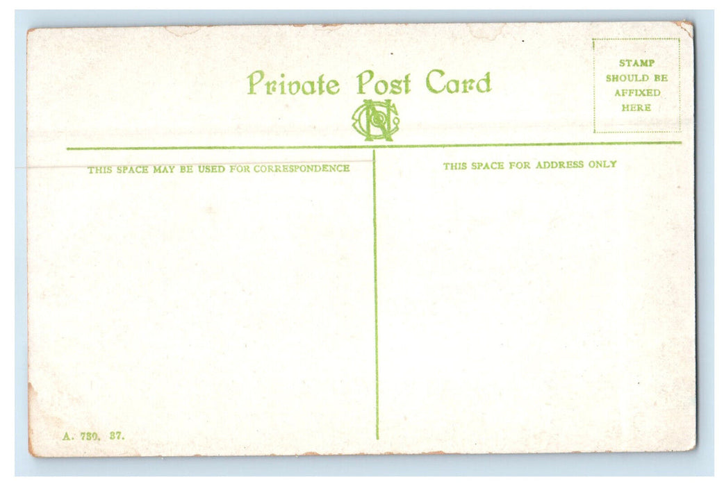 c1910 Knox College, Toronto Ontario Canada Antique Unposted Postcard