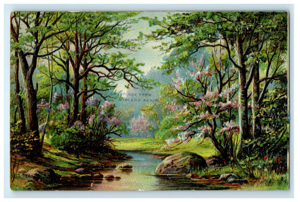 c1909 Forest Scene, Greetings from Midland Beach New York NY Posted Postcard