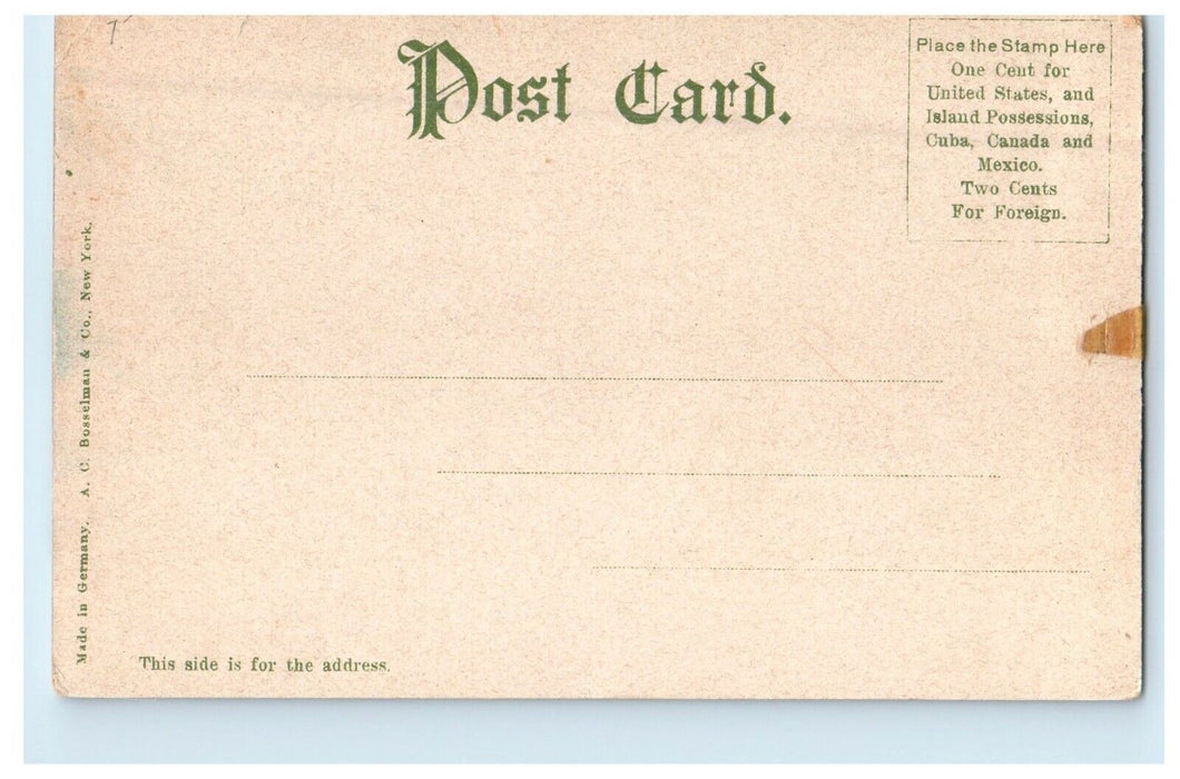 1907 Monadnock Mountain And Half Way House New Hampshire NH Antique Postcard