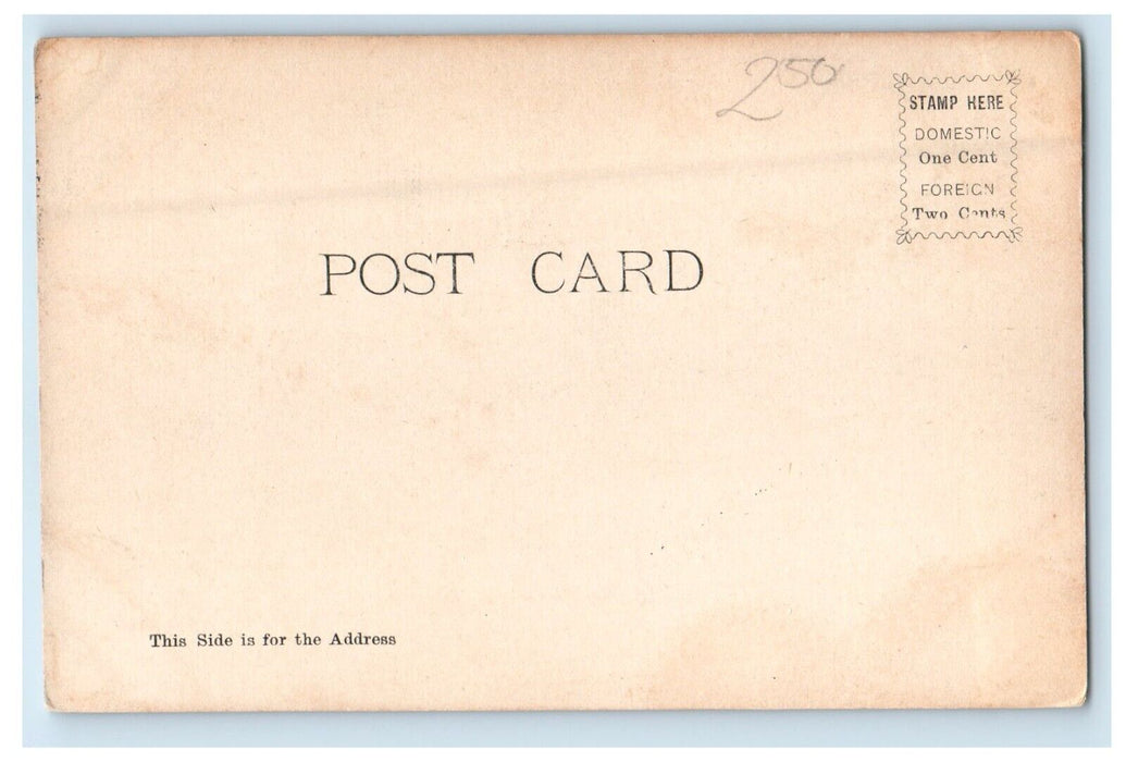 c1905 Shore At Lake Auburn Boats Auburn Maine ME Unposted Antique Postcard