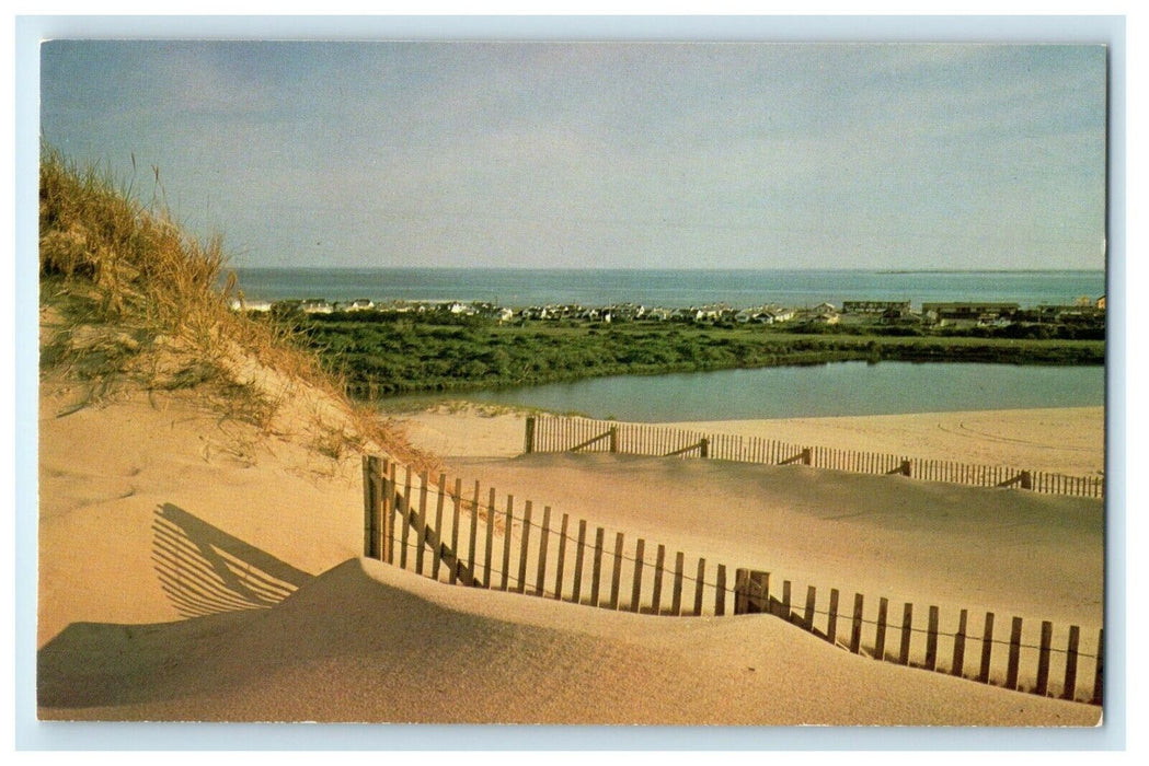A View Of Sand Dunes Of Cape Cod Massachusetts MA Vintage Postcard