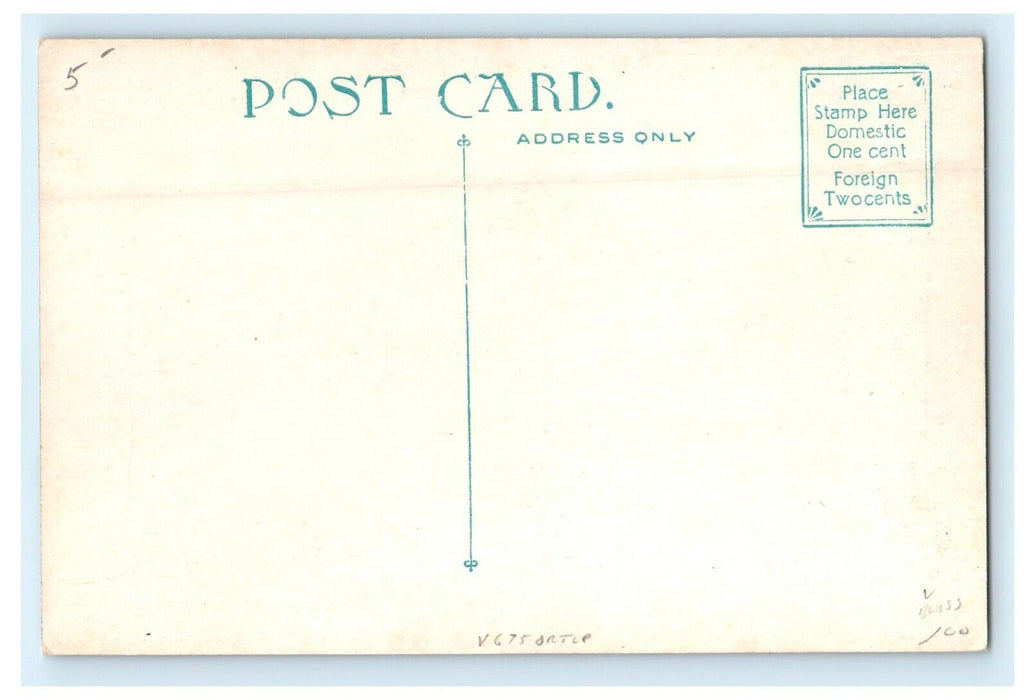 1913 Carriage in City Hotel, Taunton, Massachusetts MA Antique Postcard