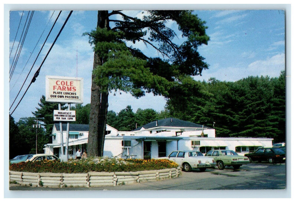 c1950's Cole Farms Restaurant Cars Scene Gray Maine ME Unposted Antique Postcard