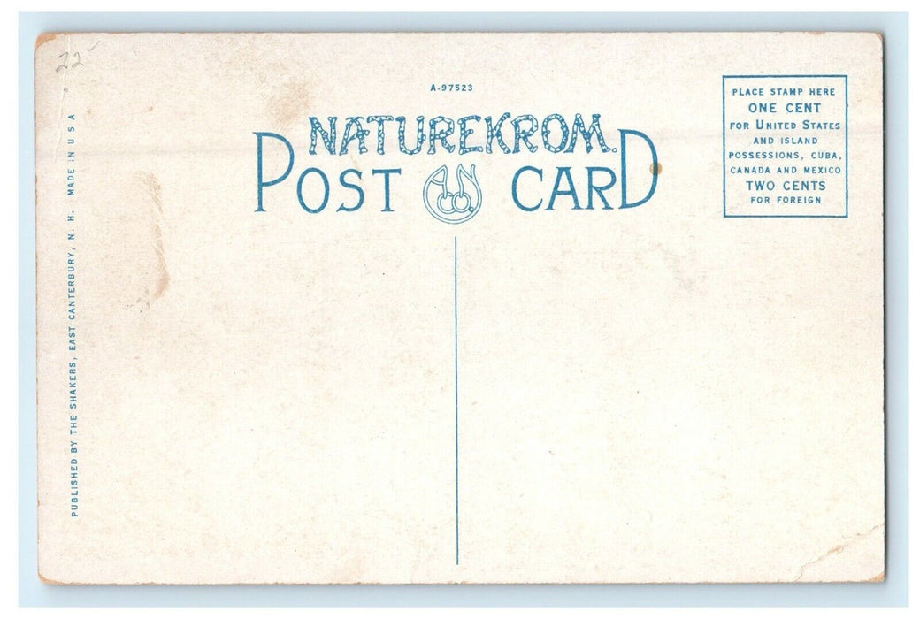 c1910 The Office, The Shakers East Canterbury New Hampshire NH Antique Postcard