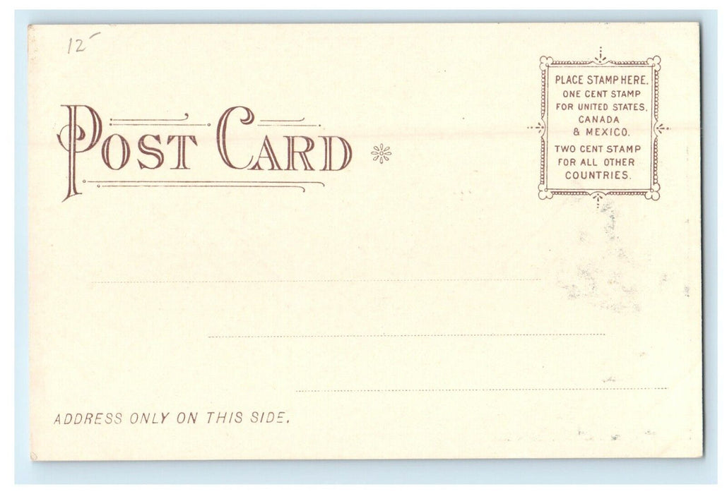 1906 Rustic Fire Place in Model Shanty, Tolland, Massachusetts MA Postcard