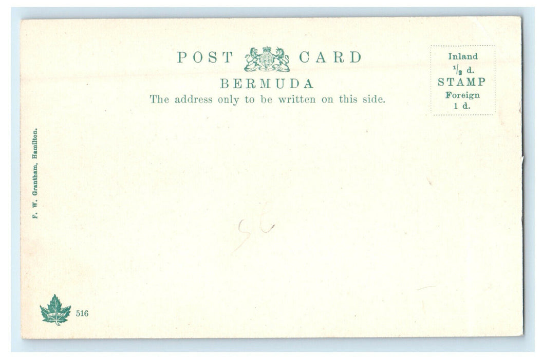 c1905s Bouganvillier Caribbean Islands Bermuda Antique Unposted Postcard