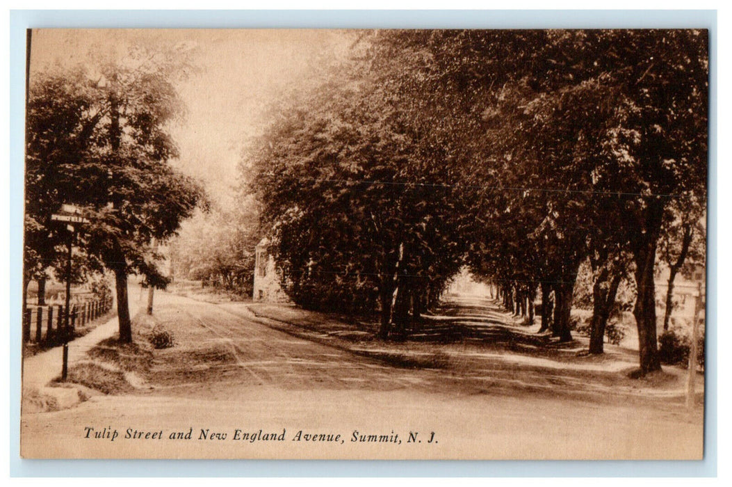 c1920s Tulip Street and New England Avenue Summit New Jersey NJ Postcard