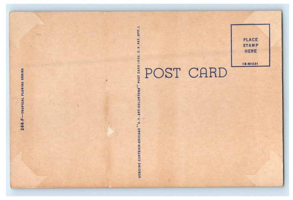 c1940's Southern Exposure Beach Scene Little Boy Puppy Dog Florida FL Postcard