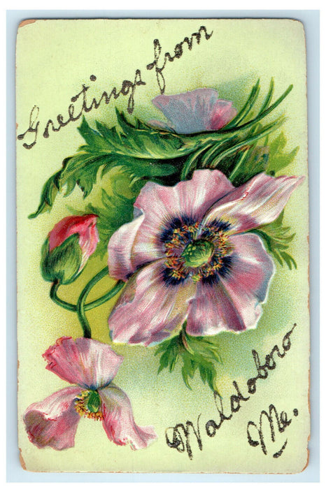 c1910s Greetings from Waldoboro Maine ME Flowers Glitter Hand Made Postcard