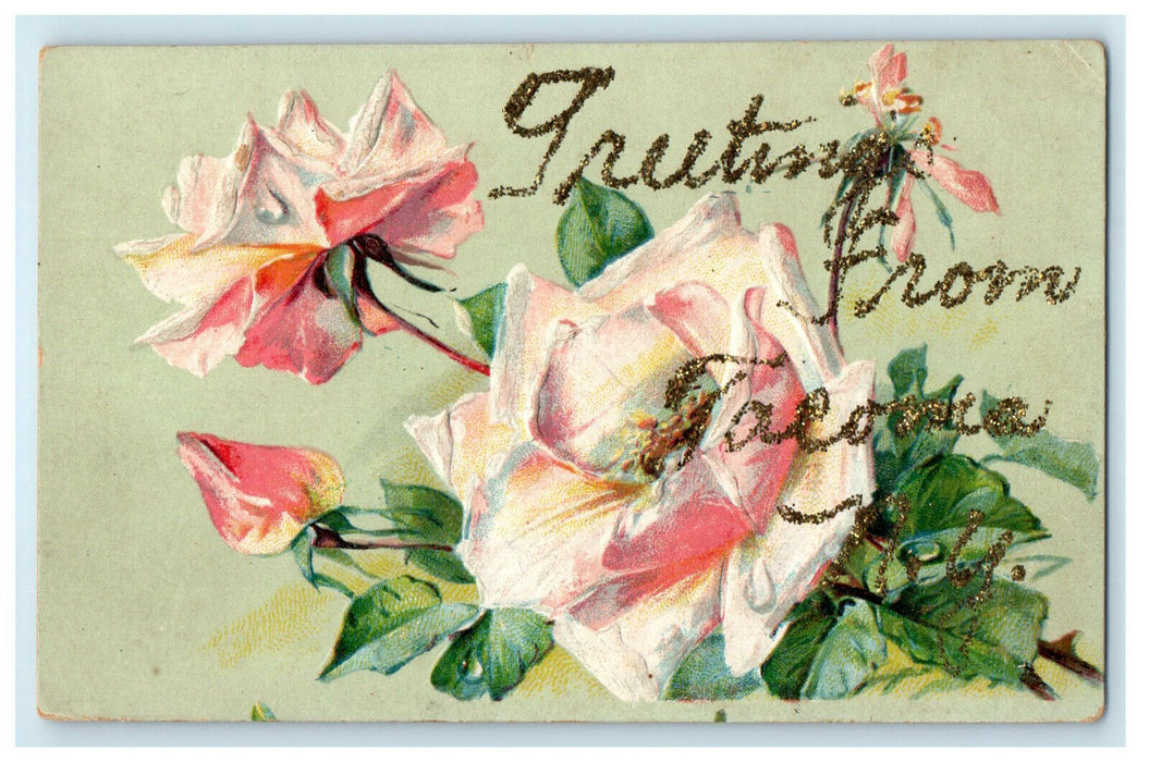 c1910s Greetings from Tacoma New York NY Glitters and Floral Postcard