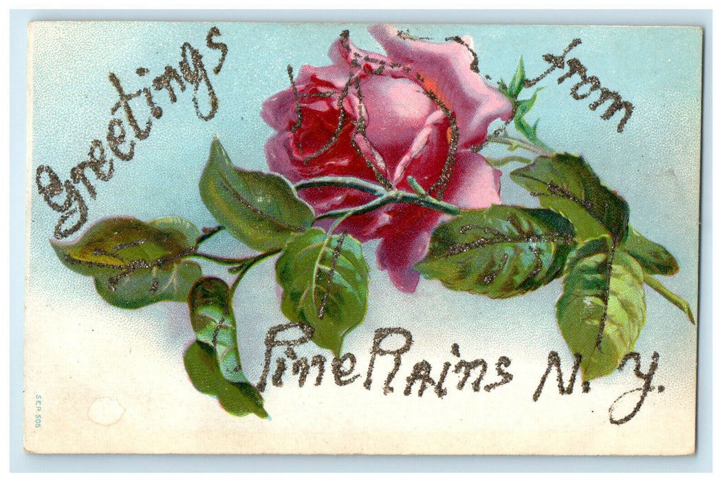 c1910s Greetings from Pine Plains New York NY Glitter Rose Flowers Postcard