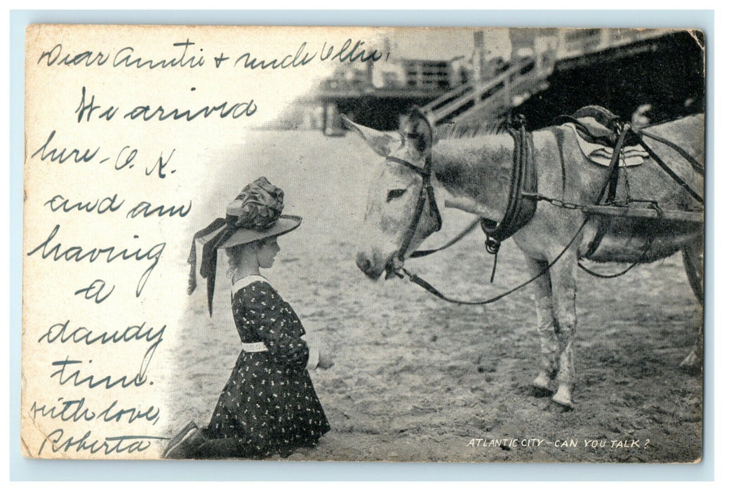 1903 Girl Victorian Hat Donkey Beach Atlantic City New Jersey Posted Postcard