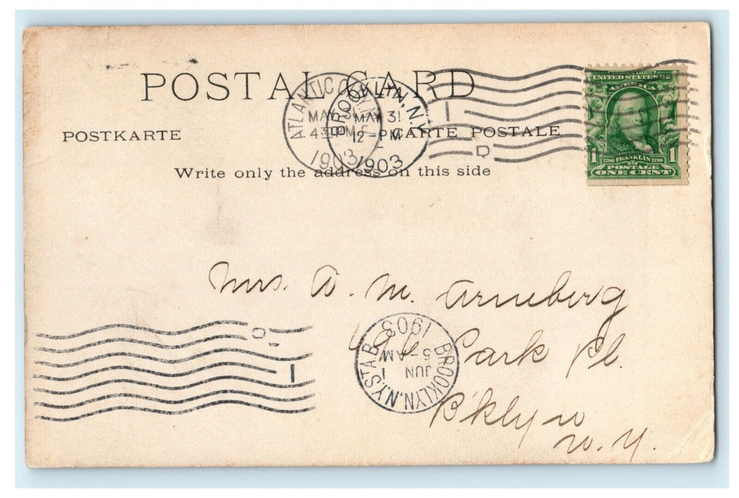 1903 Girl Victorian Hat Donkey Beach Atlantic City New Jersey Posted Postcard